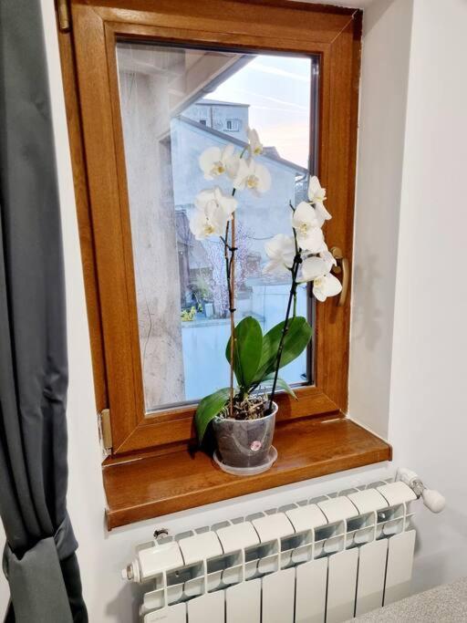 Cozy Apartment Near City Center Bukurešť Exteriér fotografie